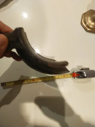 Resto vasija antigua