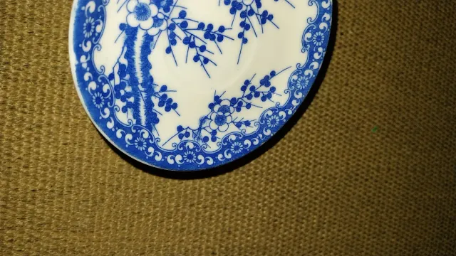 Plato decorativo azul y blanco