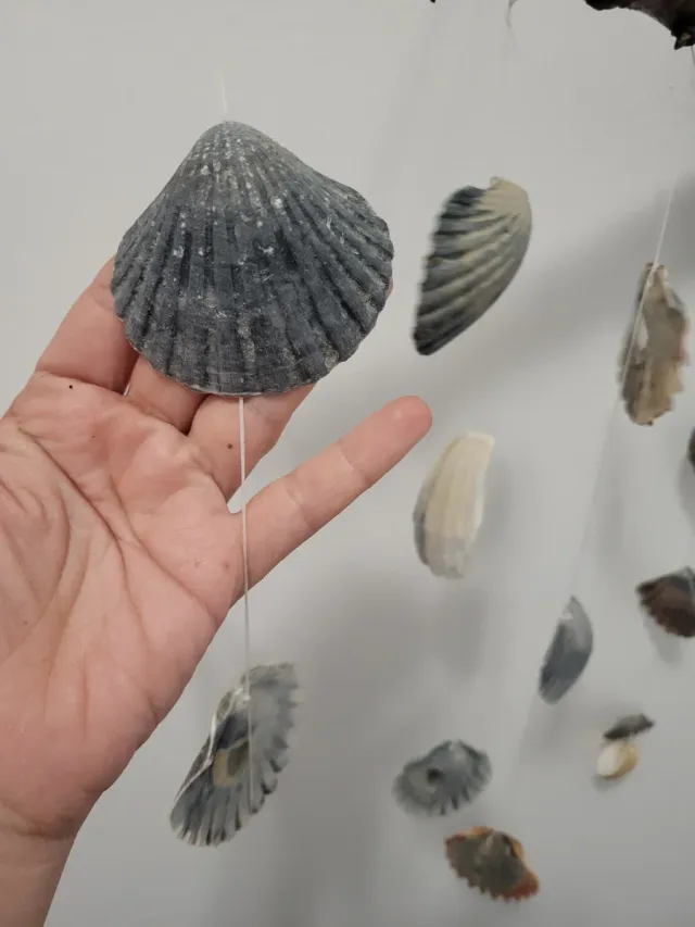 Decoração artesanal com galhos e conchas