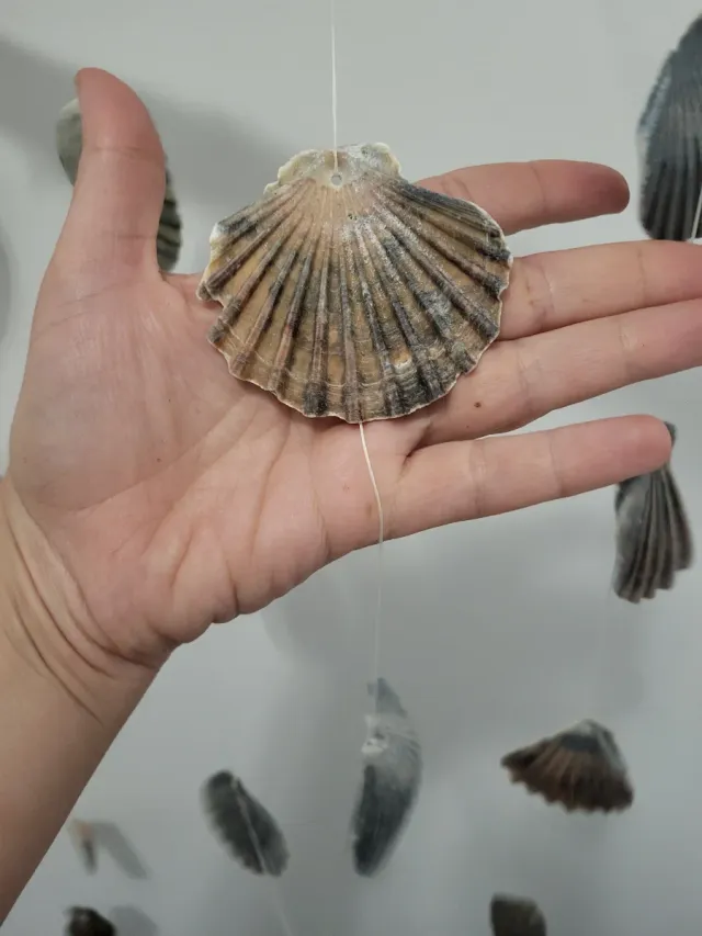 Decoração artesanal com galhos e conchas