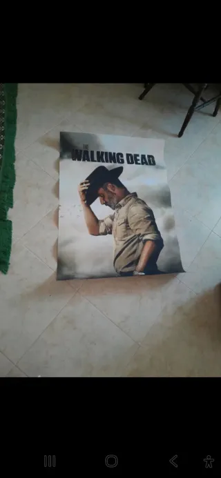 Poster The Walking Dead 70x100