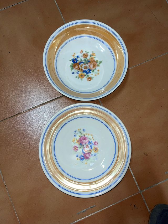 2 Platos Porcelana Antiguos Florales