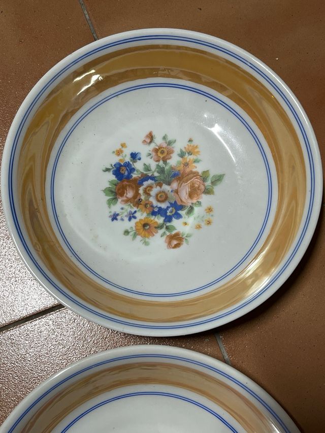 2 Platos Porcelana Antiguos Florales