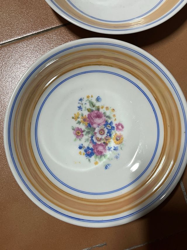 2 Platos Porcelana Antiguos Florales
