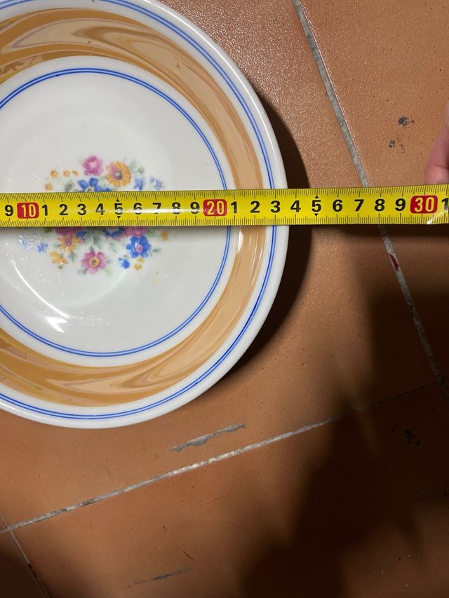 2 Platos Porcelana Antiguos Florales