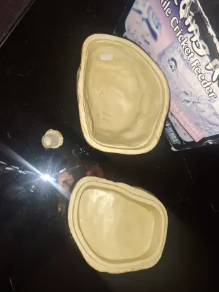 Exoterra Feeding Rock Comedero Reptiles