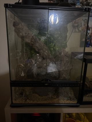 Terrario Exo Terra 45x45x60