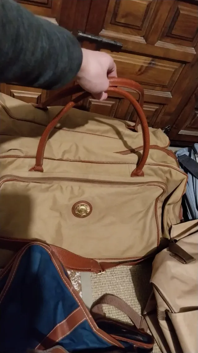 Lote de Bolsas de Viaje y Mochilas