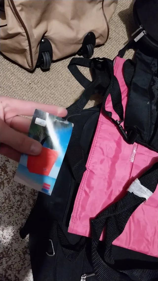 Lote de Bolsas de Viaje y Mochilas