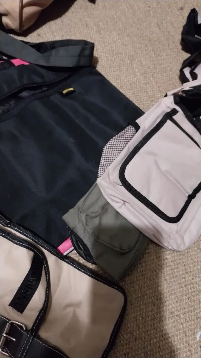 Lote de Bolsas de Viaje y Mochilas