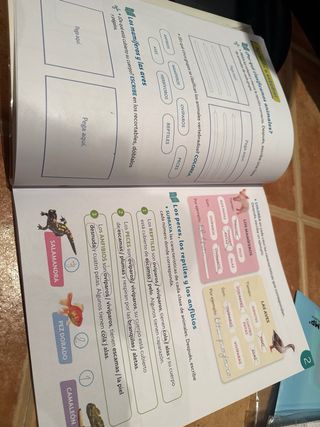 Diario de aprendizaje, Conocimiento del Medio 2.