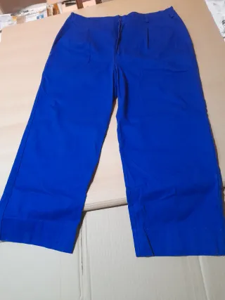 Pantalón de trabajo azul