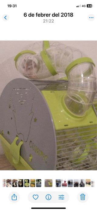 Jaula Hámster con Accesorios Limpieza