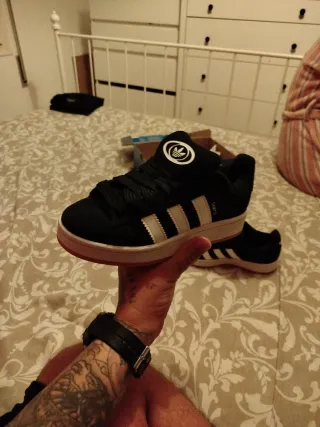 Adidas Campus (en caja) + spray protector