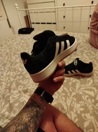 Adidas Campus (en caja) + spray protector