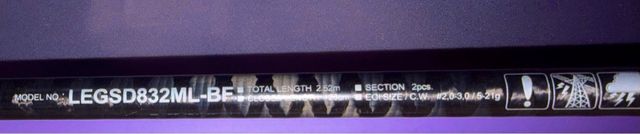 Caña Daiwa Legalis Squid acción 5-21