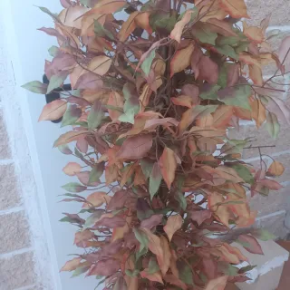 Planta artificial decorativa hojas marron y verde