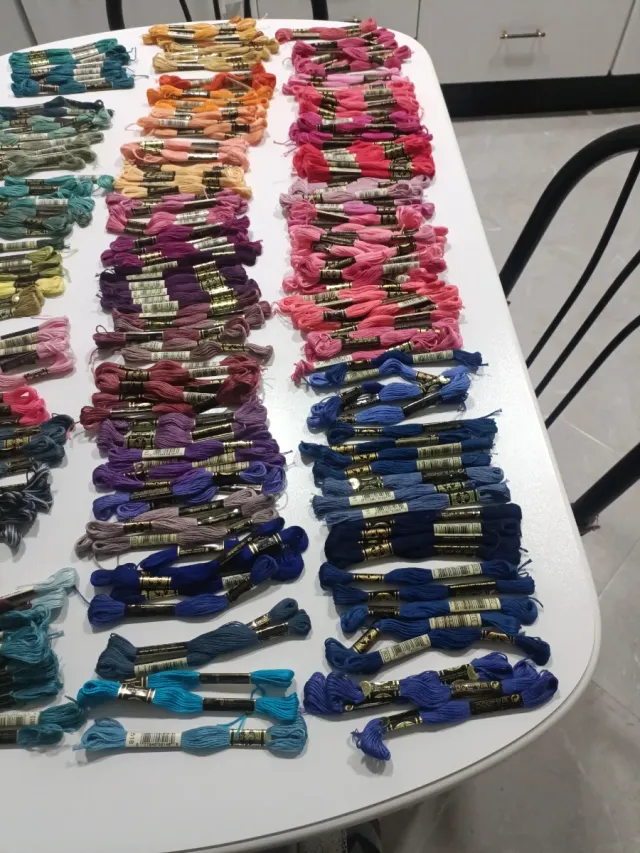 Madejas DMC Hilo Bordar Variedad Colores