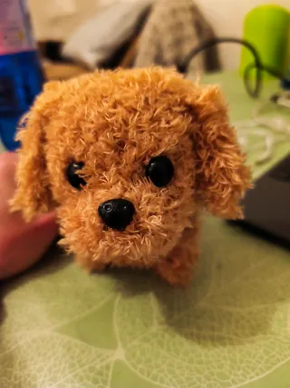 Juguete Perro Robot Nico