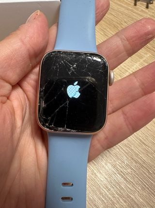 Apple Watch Rose Gold con Correa Azul