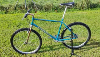 Kona Cinder Cone 1995