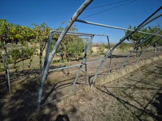 Estructura Invernadero sin plástico