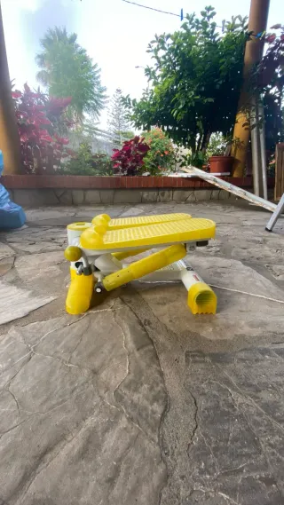 Mini step Cardio Training