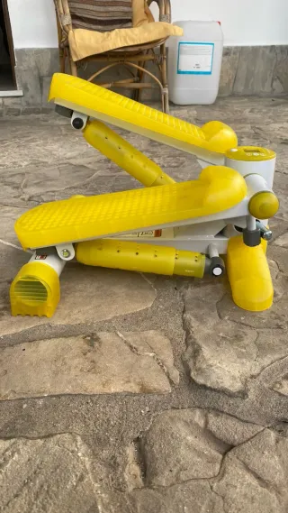 Mini step Cardio Training