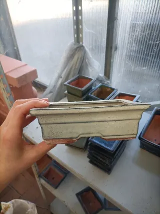 Vasi Bonsai Rettangolari/Ovali 19-20cm