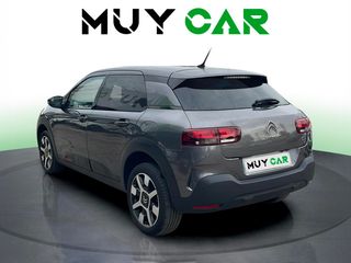 Citroen C4 Cactus BlueHDi 100 S&S Live 73 kW (99 CV)