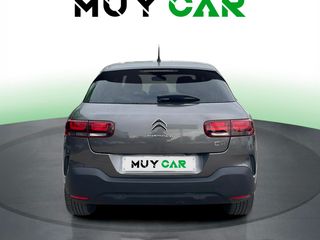 Citroen C4 Cactus BlueHDi 100 S&S Live 73 kW (99 CV)