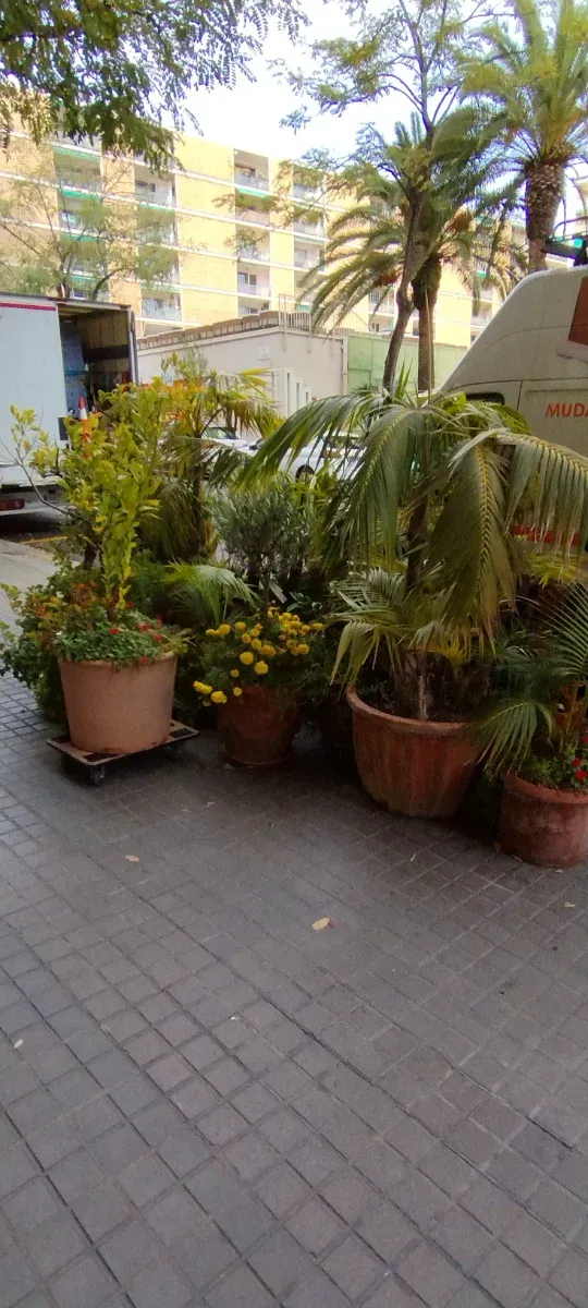 Vacíado de pisos Sabadell