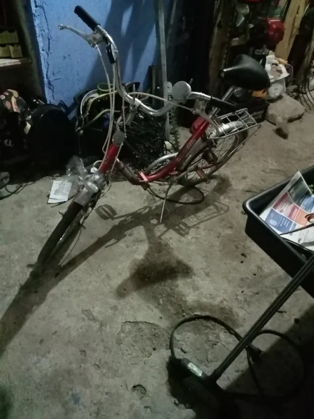 Bicicleta Vintage Original belga