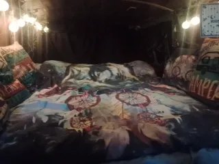 Volkswagen Transporter T5 2007