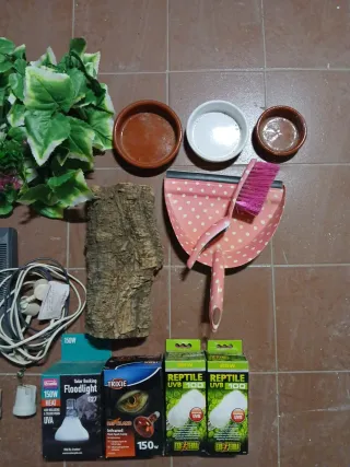 Accesorios para terrario