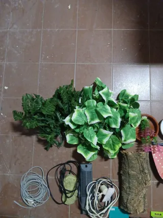 Accesorios para terrario