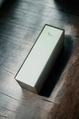 Dominó profesional vintage