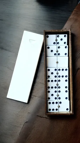 Dominó profesional vintage