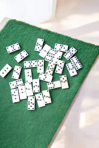 Dominó profesional vintage