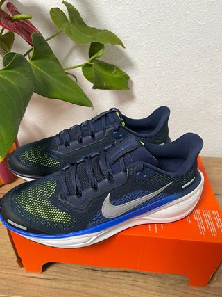 Nike Air Zoom Pegasus 41