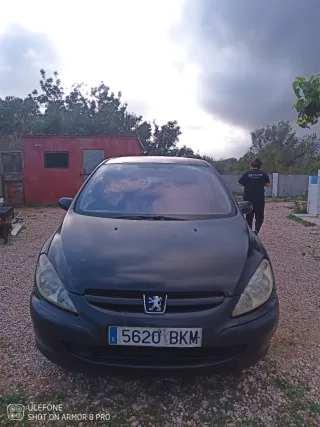 Peugeot 307 2001