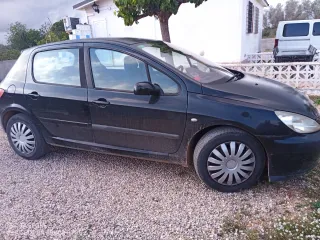 Peugeot 307 2001