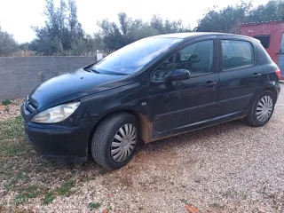 Peugeot 307 2001