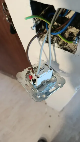 Electricista Profesional y Pintor