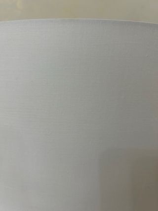 Lampada da tavolo l’oca nera