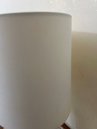 Lampada da tavolo l’oca nera