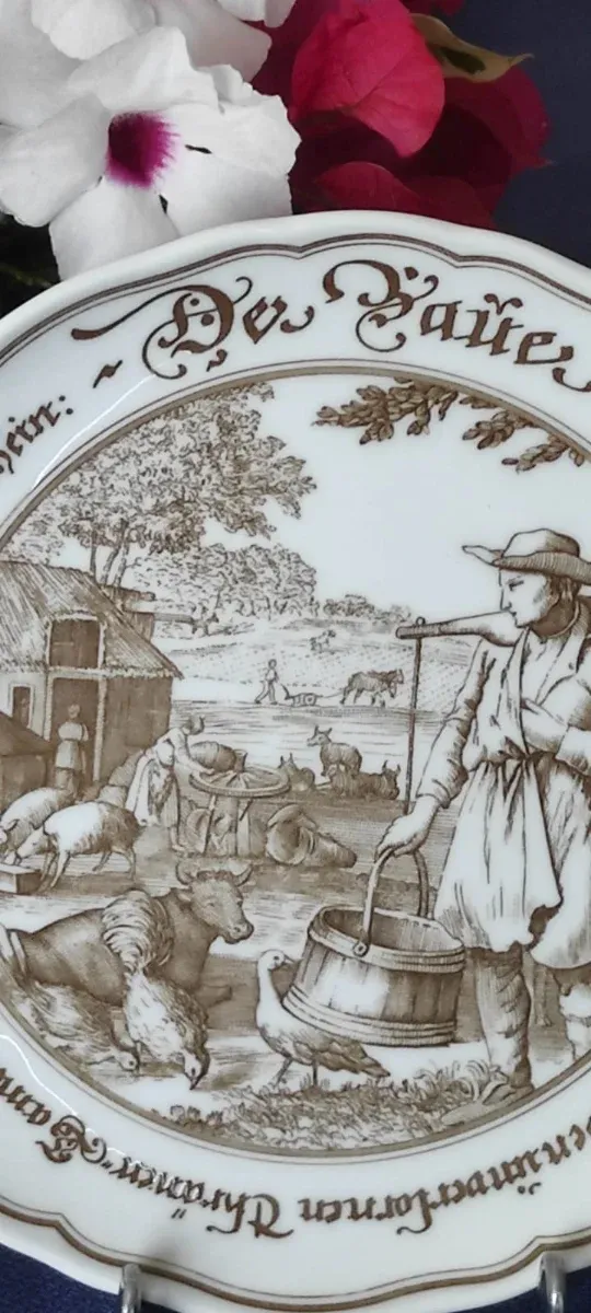 Platos HUTSCHENREUTER Porcelana Alemana