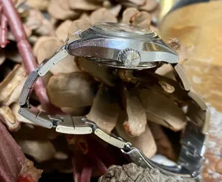 Reloj Citizen Automático 28800 17 Joyas Vintage