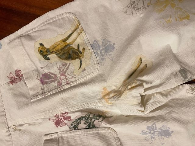 Pantalón Bimba y Lola estampado perro