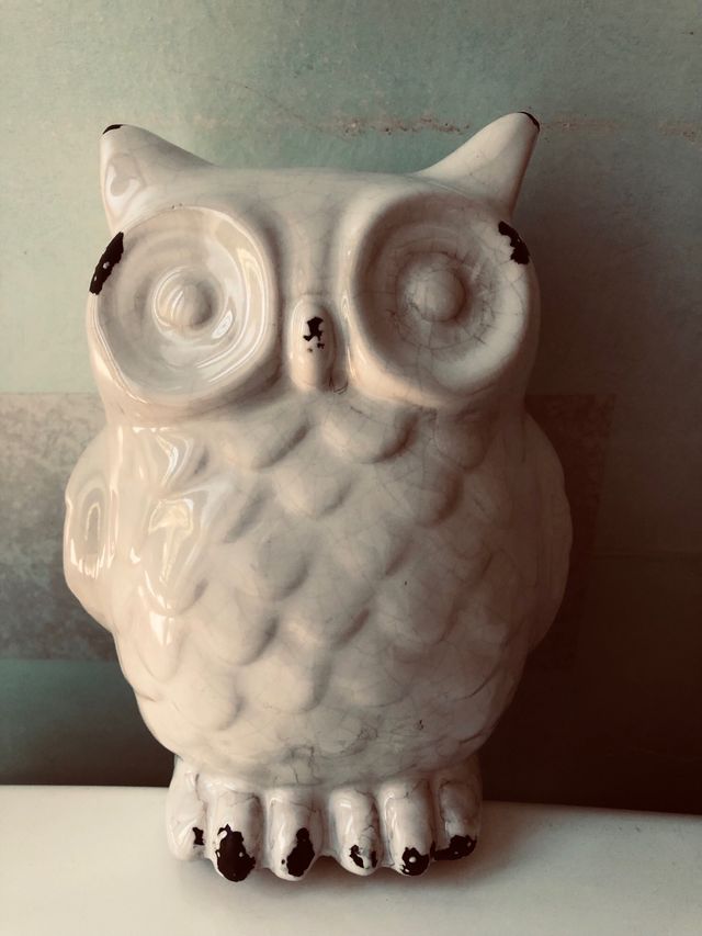 Statua gufo in porcellana decorativa